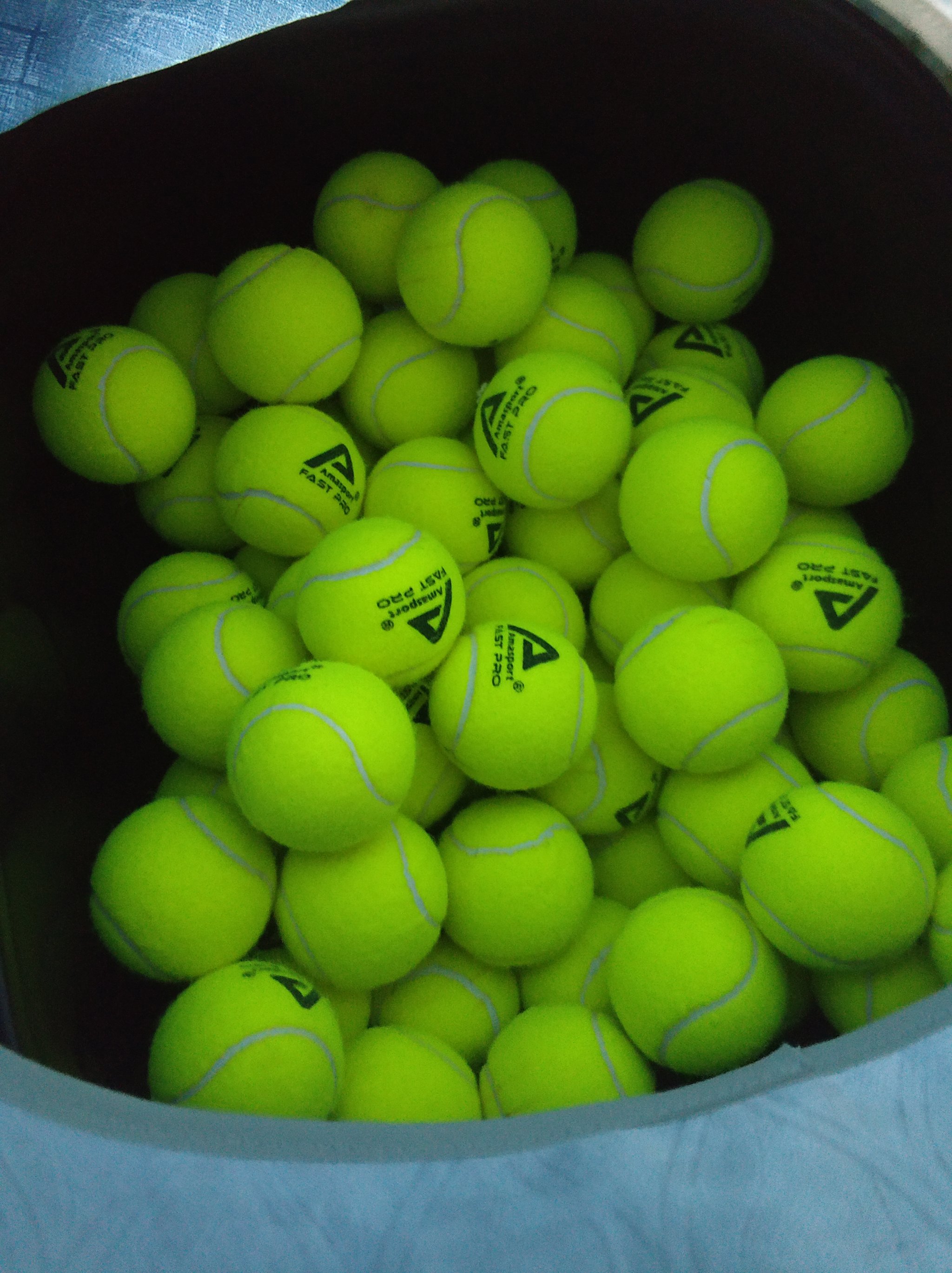 性爆发力的 性爆发力的