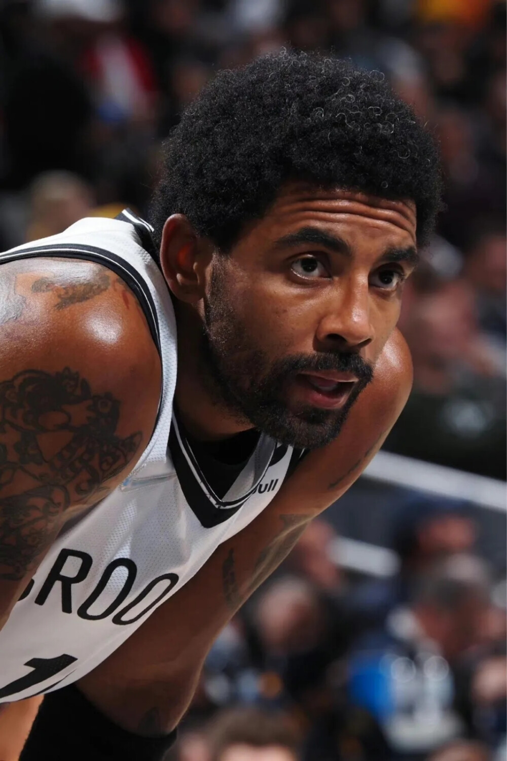 大屏幕上 大屏幕上